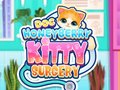 Spel Doktor HoneyBerry Kattkirurgi på nätet