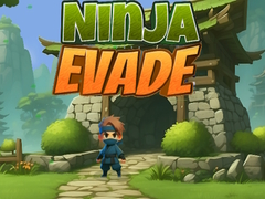 Spel Ninja Undvik på nätet