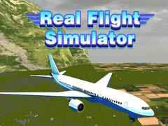 Spel Äkta Flygsimulator på nätet