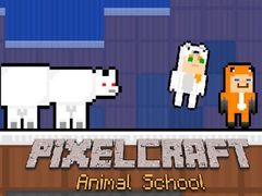 Spel PixelCraft Djur Skola på nätet