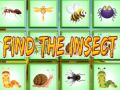 Spel Hitta Insektet på nätet