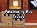 Spel Fascinerande pojkeescape på nätet