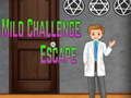 Spel Amgel Mild Challenge Escape på nätet