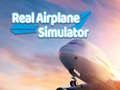 Spel Ekte Flygsimulator på nätet