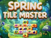 Spel Vår Plattmästare på nätet