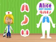 Spel Alice Kroppsorganens Värld på nätet