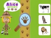 Spel Alice Fotspår Världen på nätet