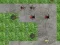 Spel Spindel Tornförsvar på nätet