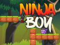 Spel Ninja Kille på nätet