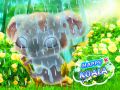 Spel Glad Koala på nätet