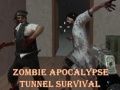 Spel Överlevnad i zombieapokalypsens tunnel på nätet