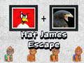 Spel Hat James Flykt på nätet