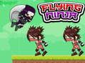 Spel Flygande Ninja på nätet