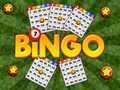 Spel Bingo Avslöjad på nätet