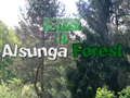 Spel Återvända till Alsunga-skogen på nätet