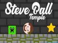 Spel Steve Ball Tempel på nätet