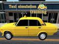 Spel Taxisimuleringsträning på nätet