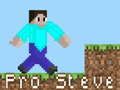 Spel Pro Steve på nätet