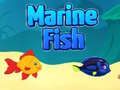 Spel Marin fisk på nätet
