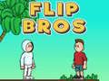 Spel Flip Bröder på nätet