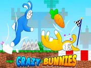 Spel Crazy Bunnies på nätet