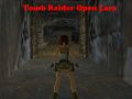 Spel Tomb Raider: Öppen Lara på nätet