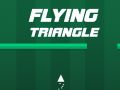 Spel Flygande triangel på nätet