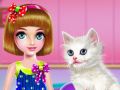Spel Kattvård och grooming på nätet Spel Kattvård och grooming på nätet
