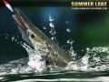 Spel Sommar Sjö 1.5 på nätet Spel Sommar Sjö 1.5 på nätet