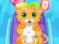 Spel Liten Katt Doktor pÄ nÀtet Spel Liten Katt Doktor pÄ nÀtet