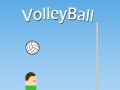 Spel Volleyboll på nätet