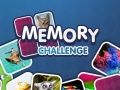 Spel Minnesutmaning på nätet