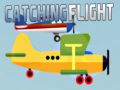 Spel Fånga flyg på nätet