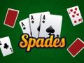 Spel Spader på nätet