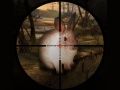 Spel Klassisk Kanin Sniper Jakt 2019 på nätet
