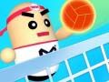 Spel Fantastisk Volleyboll på nätet
