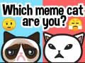 Spel Vilken meme-katt är du? på nätet