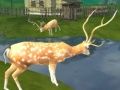 Spel Ălgjakt: Sniperskytte pĂ„ nĂ€tet Spel Ălgjakt: Sniperskytte pĂ„ nĂ€tet