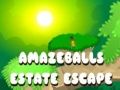 Spel Fantastisk Flykt från Godset på nätet