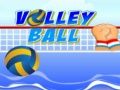 Spel Volleyboll pÄ nÀtet Spel Volleyboll pÄ nÀtet