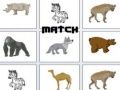 Spel Match på nätet