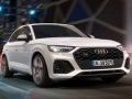Spel Audi SQ5 TDI Glidning på nätet