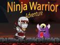 Spel Ninja Krigarens Äventyr på nätet