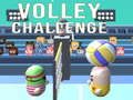 Spel Volleyutmaning pÄ nÀtet Spel Volleyutmaning pÄ nÀtet