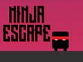 Spel Ninja Escape på nätet