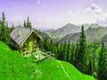 Spel Alpin Bergpussel på nätet