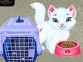 Spel Baby Taylor: Husdjursvård på nätet