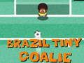 Spel Brasilien Liten MÄlman pÄ nÀtet Spel Brasilien Liten MÄlman pÄ nÀtet