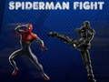 Spel Spiderman Strid pÄ nÀtet Spel Spiderman Strid pÄ nÀtet