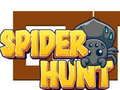 Spel Spindeljakt pÄ nÀtet Spel Spindeljakt pÄ nÀtet